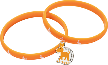 認知症サポーターの目印
オレンジリング