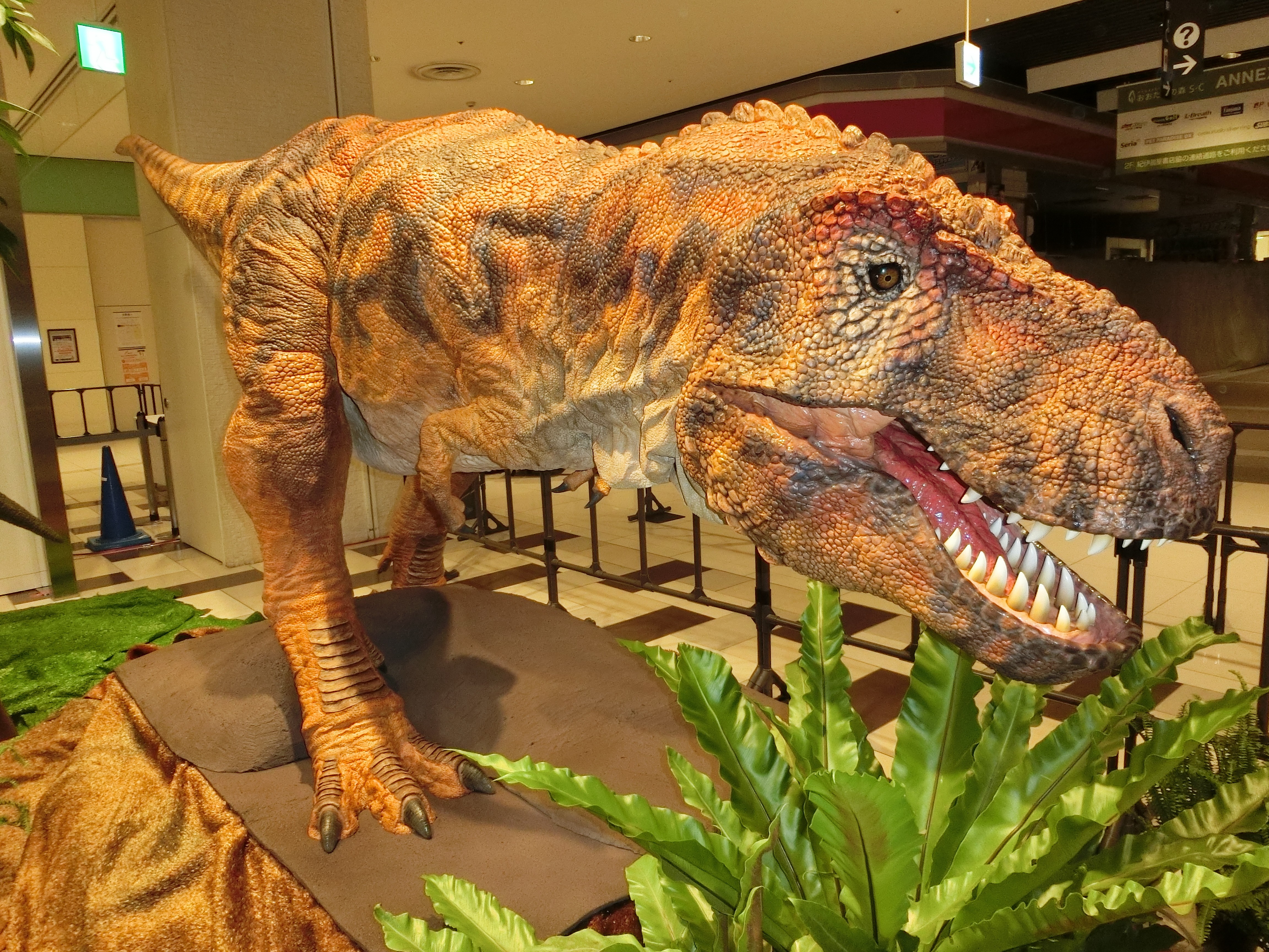 T.rex.robot